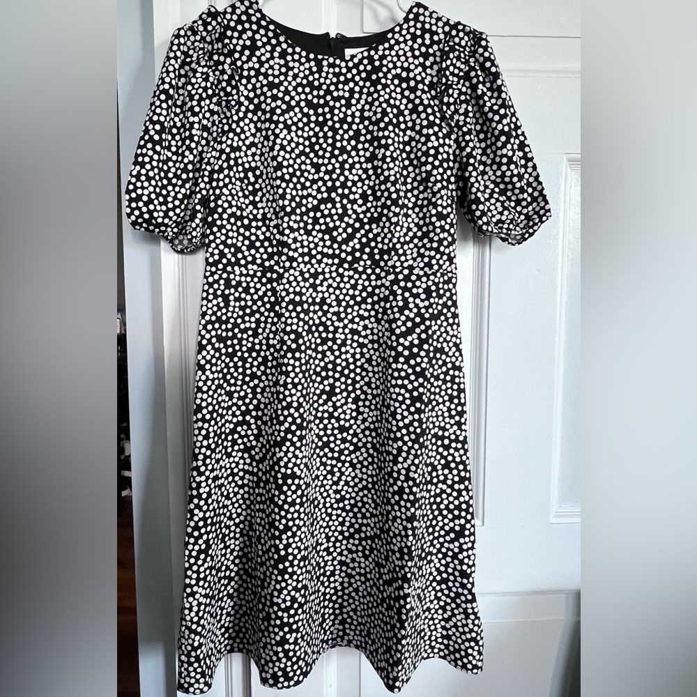 Lark & Ro Black and White Dot Dress